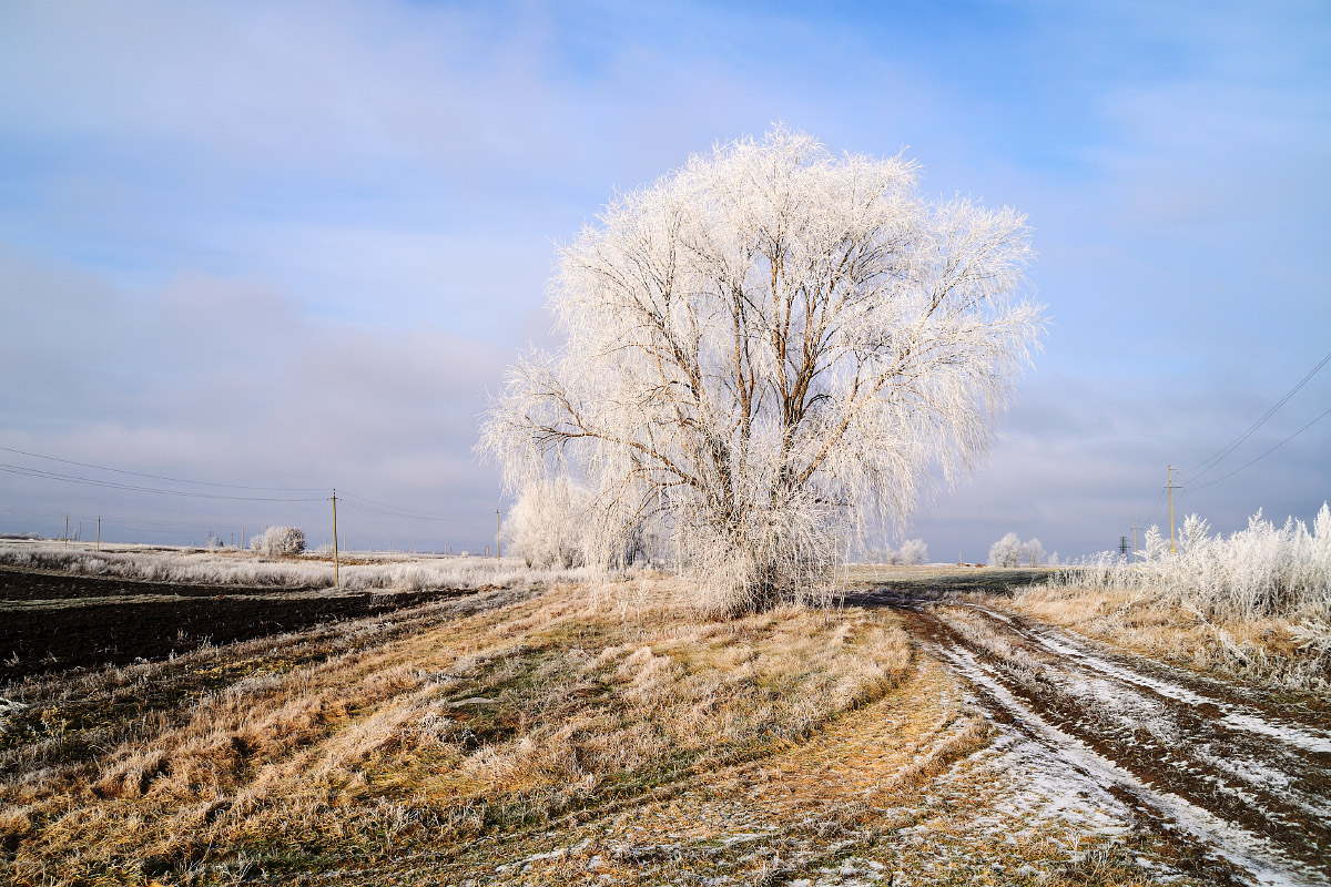 Winter colours