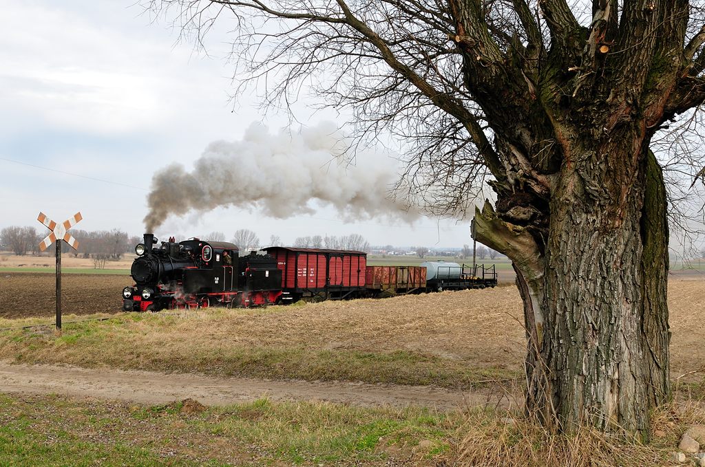 "Winter"-dampf auf der Zniner Kreisbahn