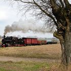 "Winter"-dampf auf der Zniner Kreisbahn