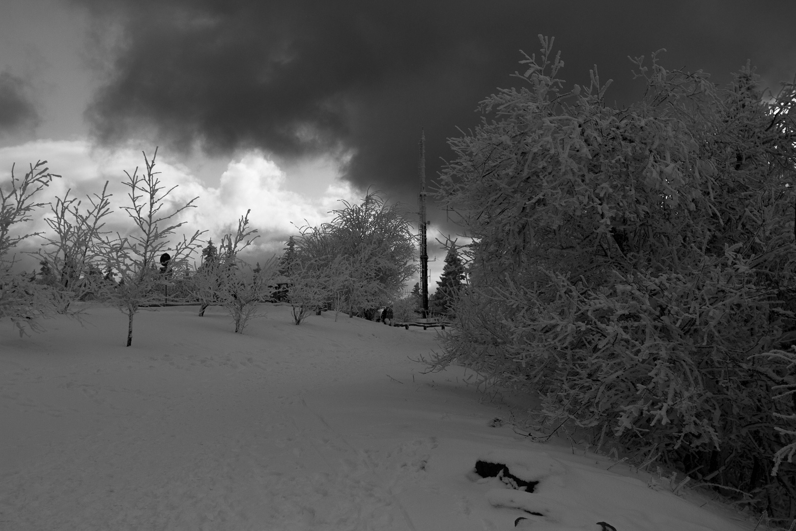 Winter Darkness