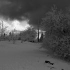 Winter Darkness