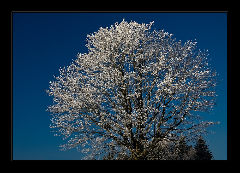 ~ winter day ~