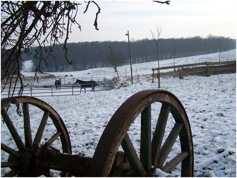 Winter day in Bergisch Gladbach