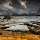 [ _winter days // Grunnførfjorden, Lofoten ]