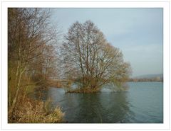 Winter der kein Winter ist am Freizeitsee in Northeim.