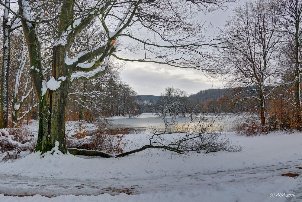 Winter: Der Rahmen ist kaputt!