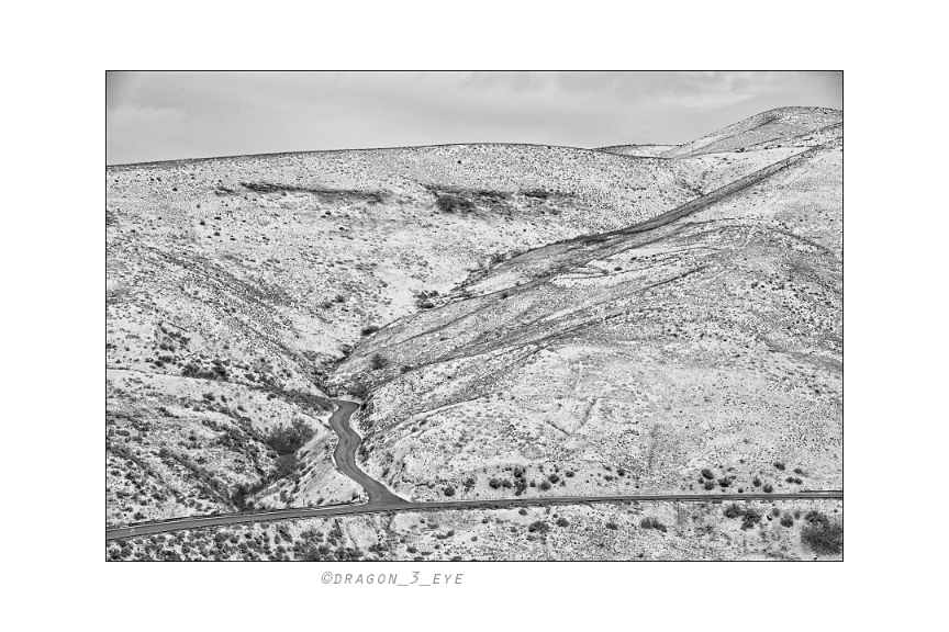 Winter Desert Path 