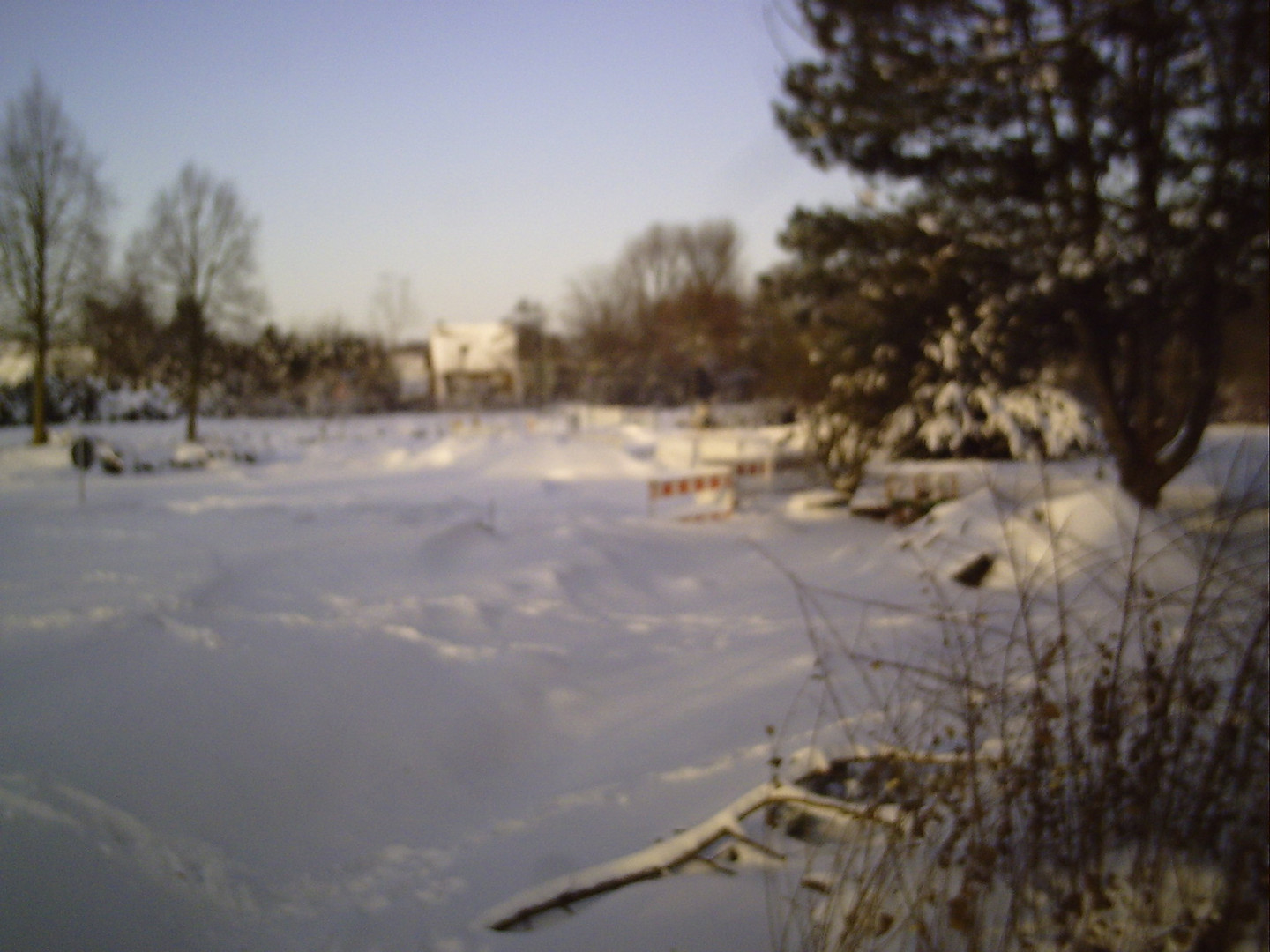 Winter Dez..2010 am Niederrhein (3)