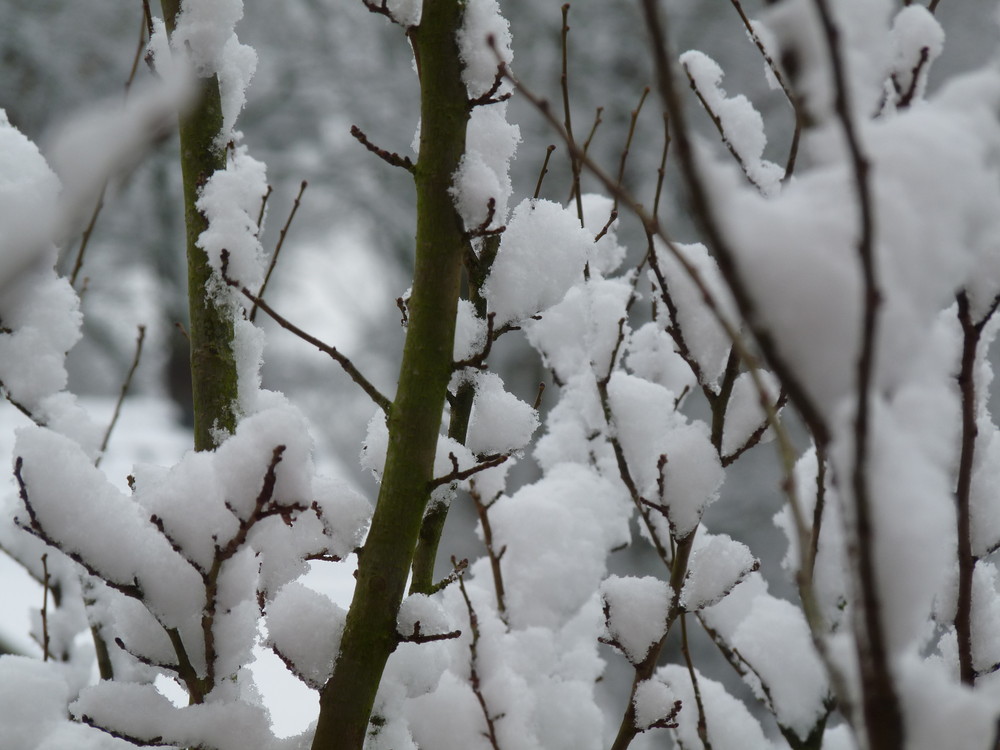 Winter, diesen Winter auch in Münster