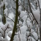 Winter, diesen Winter auch in Münster