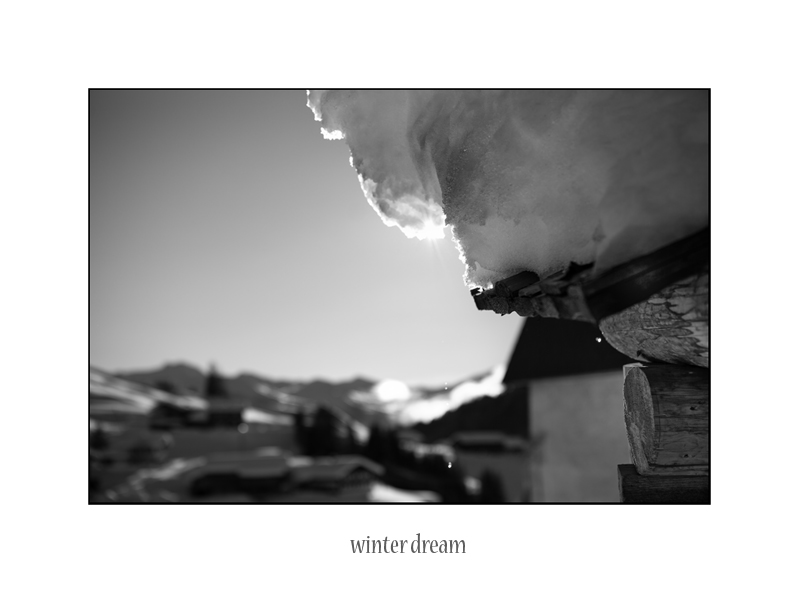 °° winter dream °°