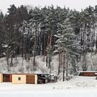 Winter Dream in White Forest