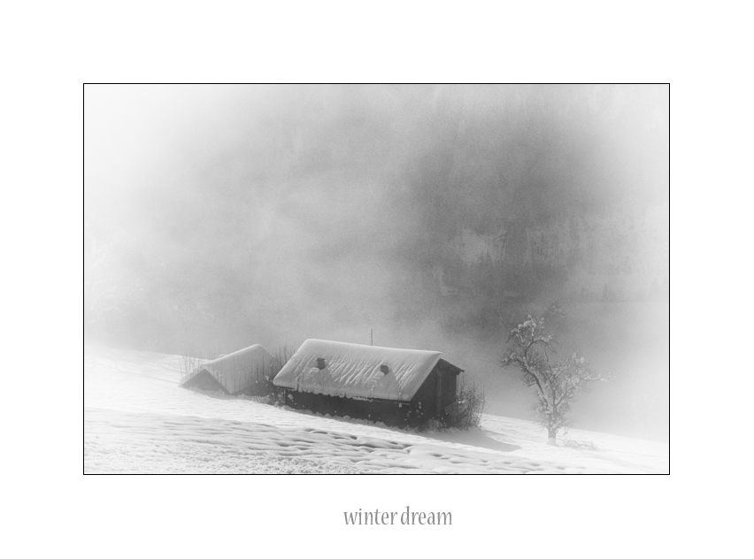 °° winter dream ll °°