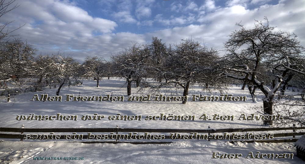 Winter Dreamland ~ in Baden-Württemberg