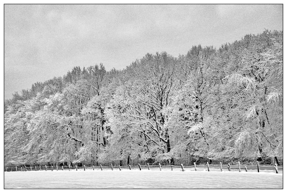 Winter-Dreams #2 hoping for….