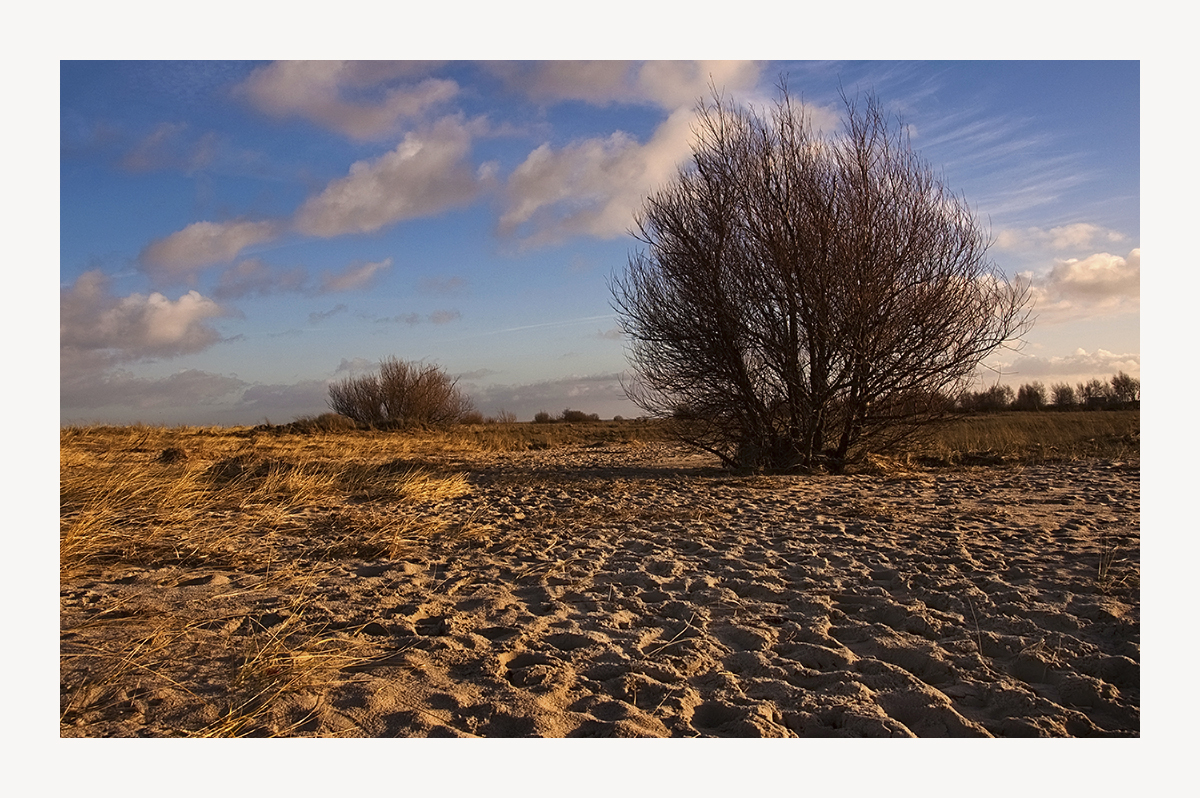 Winter-Dünen