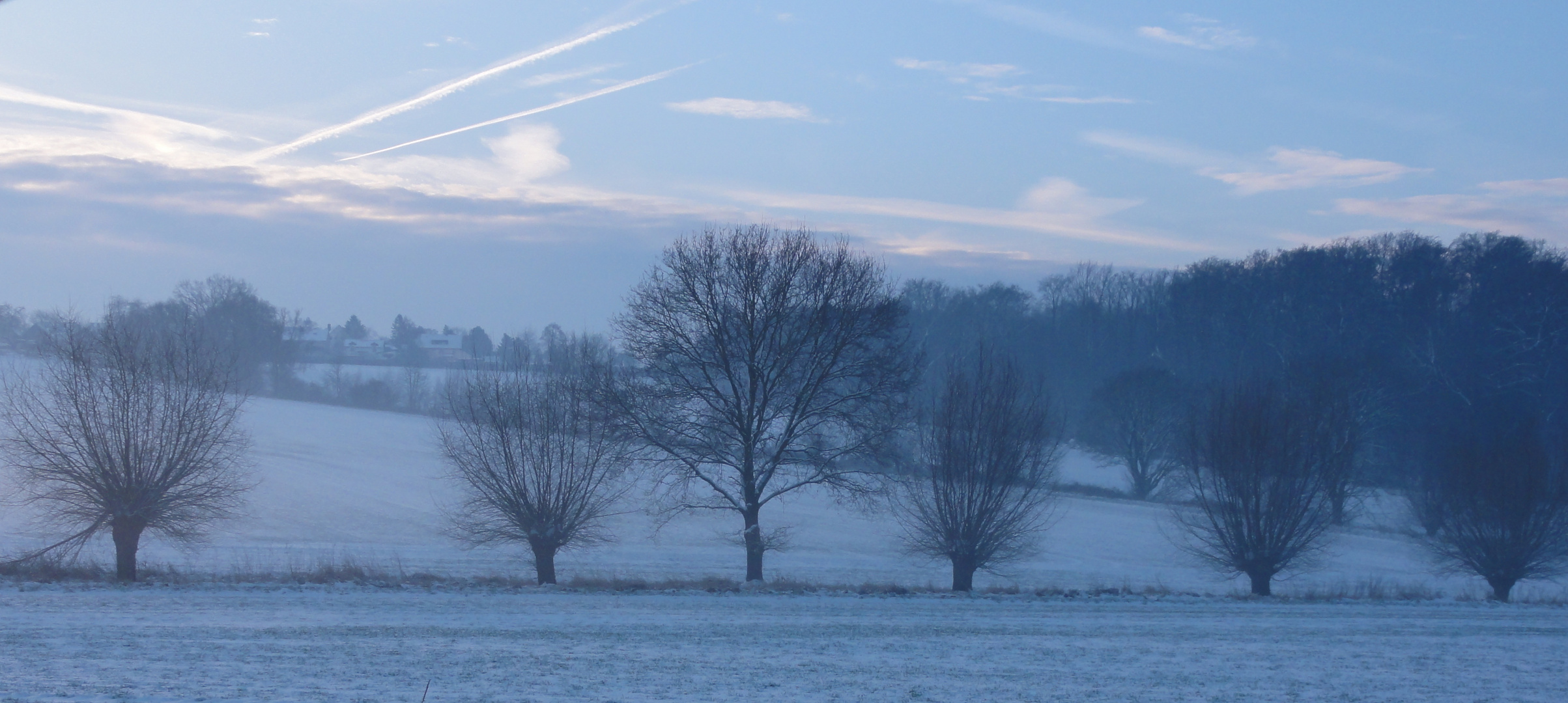 Winter - Dunst - Frost