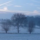 Winter - Dunst - Frost