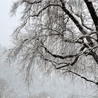 Winter, durchsichtig filigran