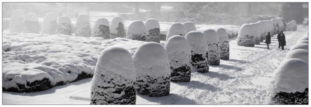 Winter-Eier-Park