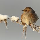 Winter, ein herrliche Zeit zum fotografieren