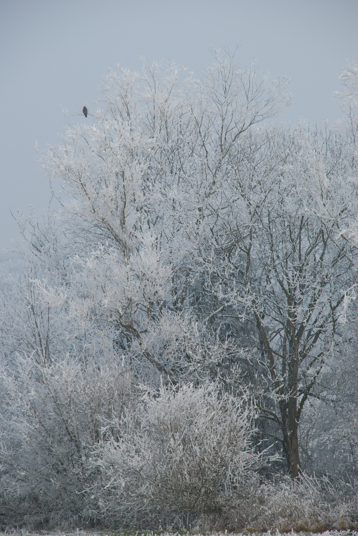 Winter-Einsamkeit