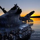 Winter - Eis -Impression am Ammersee