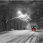 Winter Enchantment in Central Park