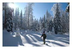 Winter "endlich" mit Sonne !