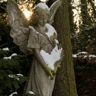 Winter-Engel im Sonnenlich