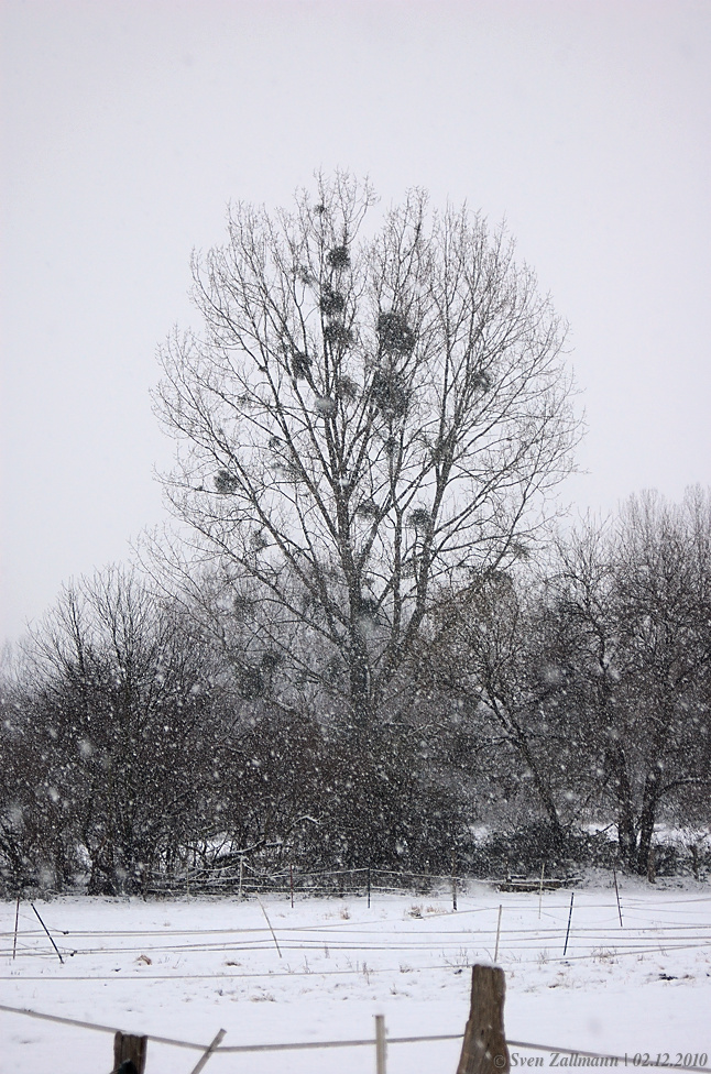 Winter enthüllt, Winter verhüllt