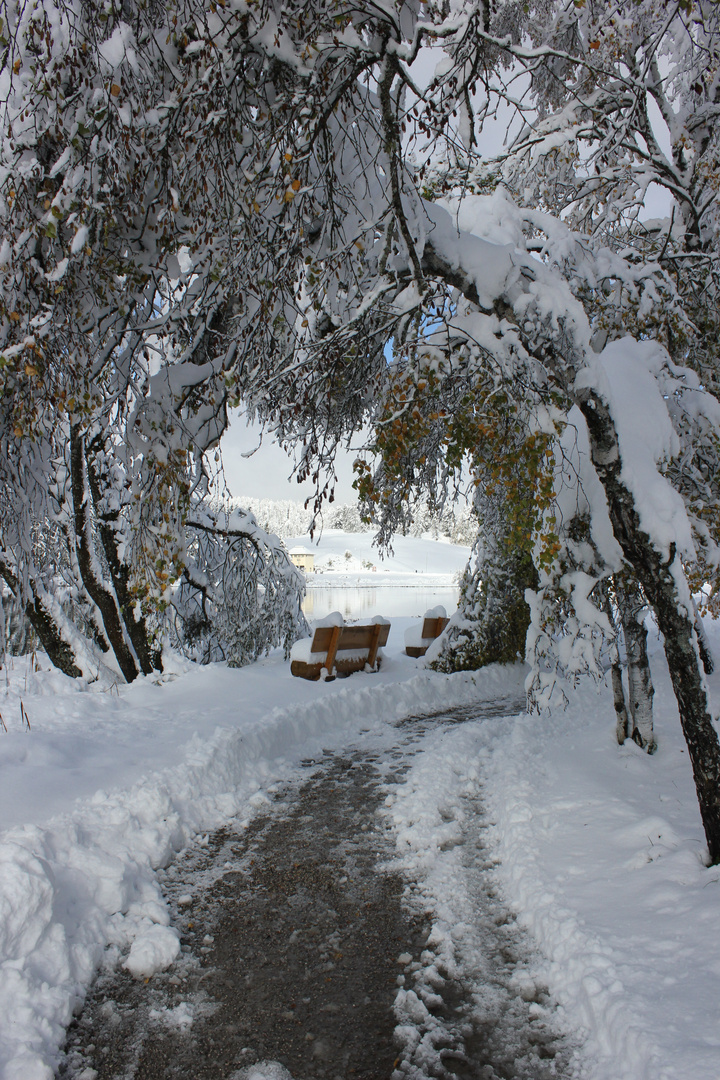 Winter-Erinnerung ...