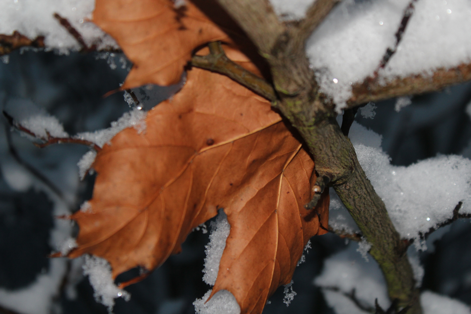 Winter erobert den Herbst