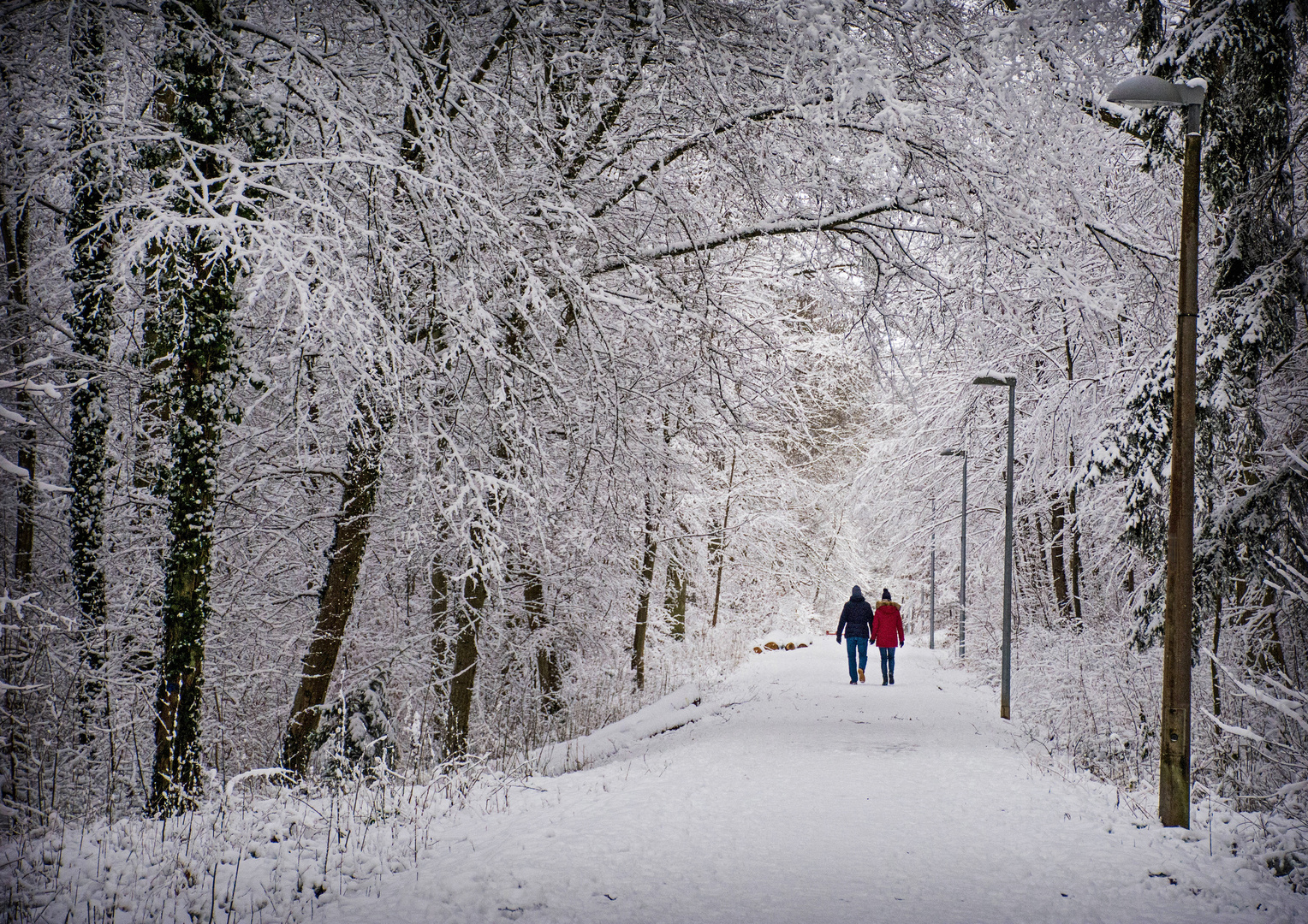 Winter, erste feste Schnee in Sindelfingen