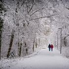 Winter, erste feste Schnee in Sindelfingen