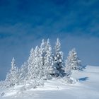 Winter: Es wird langsam...! Aber dies ist eine ältere Aufnahme.... ;-)