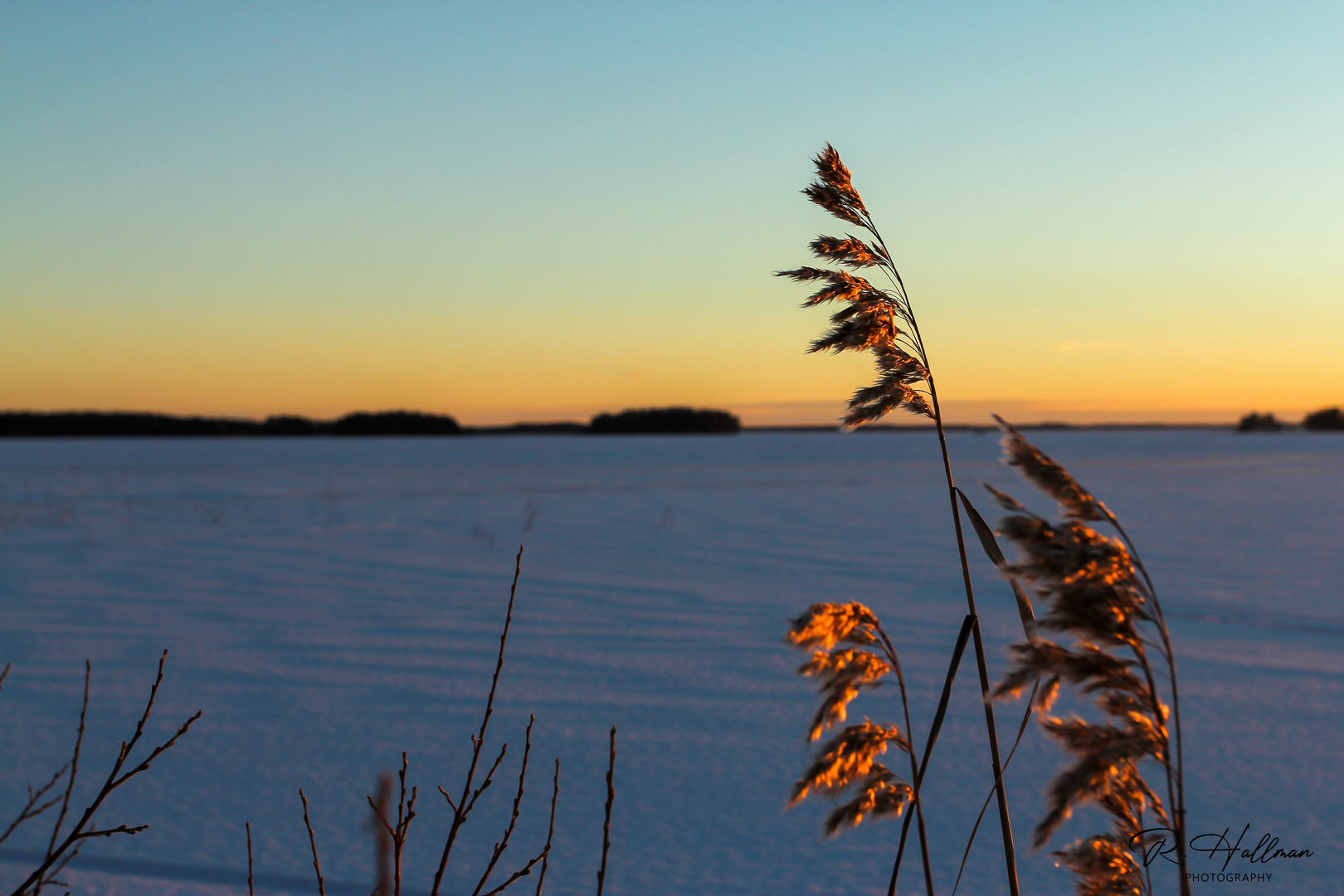 Winter evening