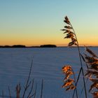 Winter evening