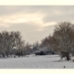 winter evening walk...