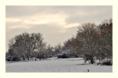 winter evening walk...