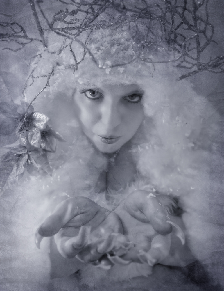 ...Winter Fairy