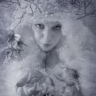 ...Winter Fairy