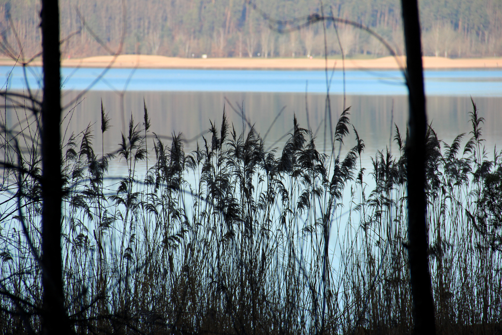 Winter fairytale @ Brombachsee 
