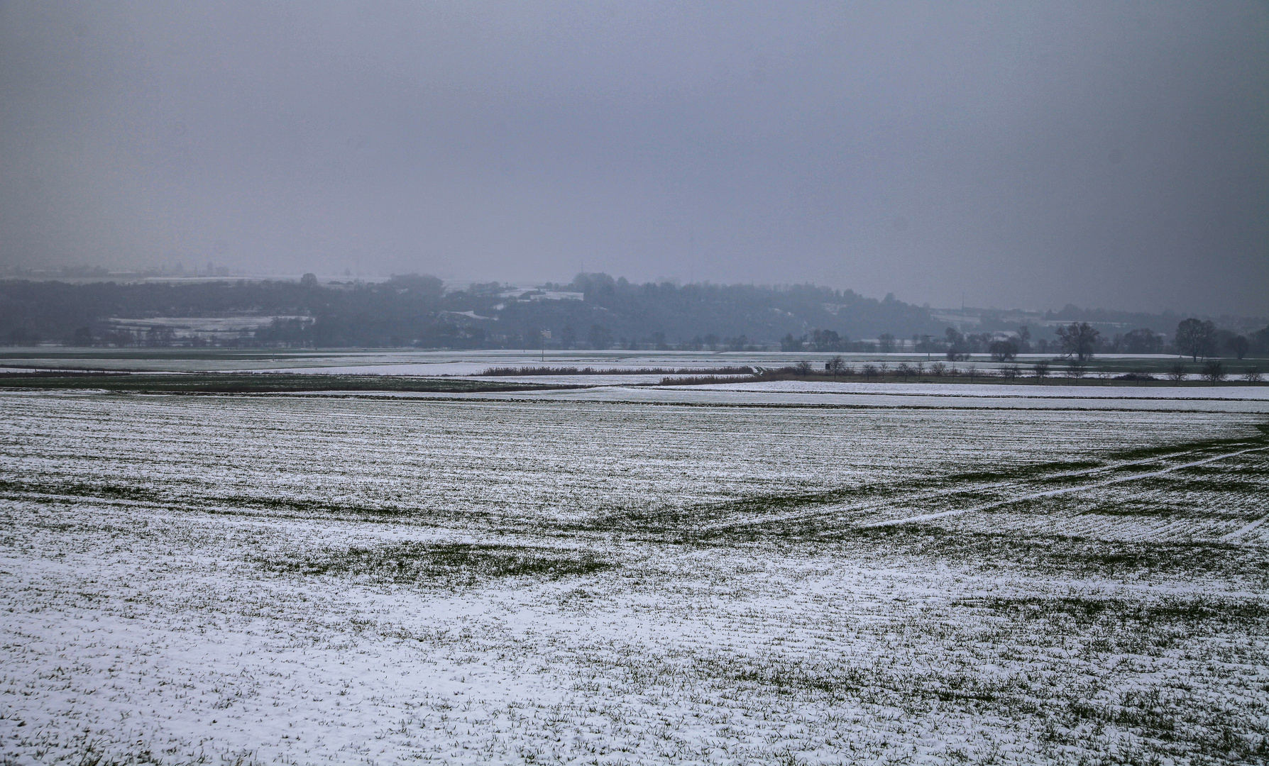 Winter fand dieses Jahr...