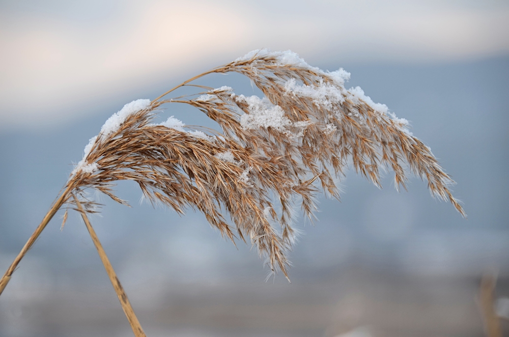 Winter - Farben..-1-