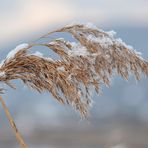 Winter - Farben..-1-