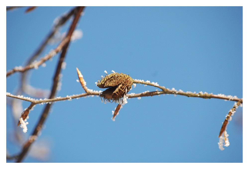 Winter Farben 2