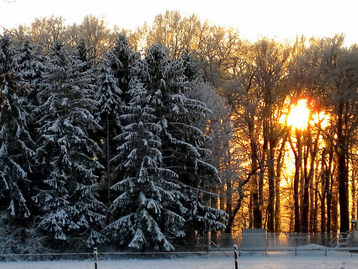 "Winter - Farben"