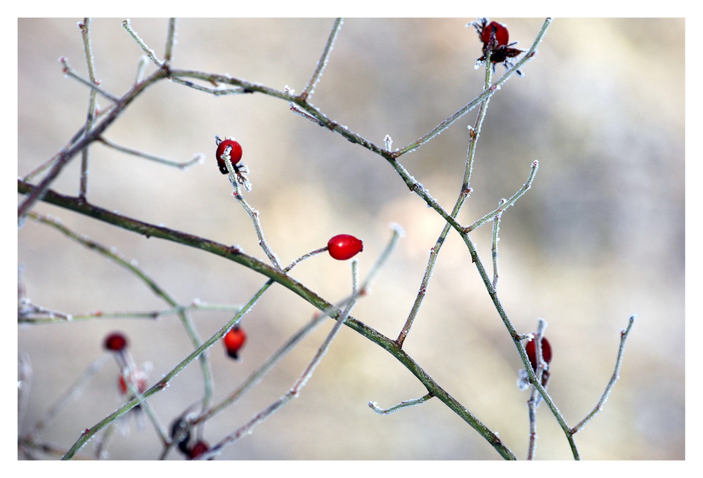 Winter Farben 4