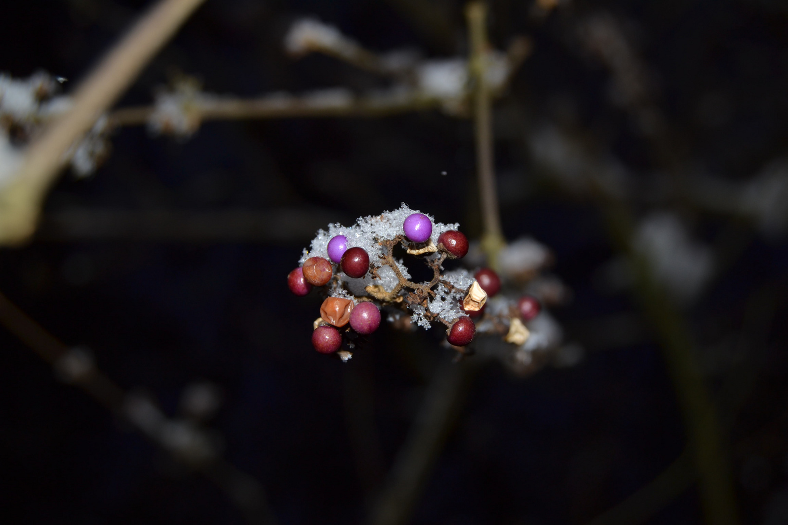 Winter Farben